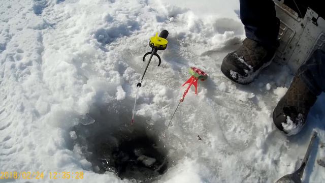 Ловля белой рыбы в глухозимье! смотреть онлайн