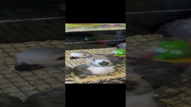 Проявление интереса смотреть онлайн