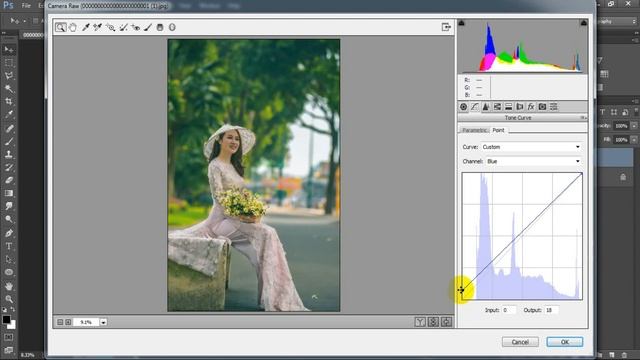 Moody Dramatic tone | Color Grading Photoshop Free Camera Raw Presets смотреть онлайн