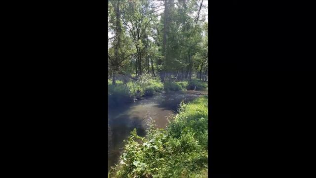 Путешествие на Алтай смотреть онлайн