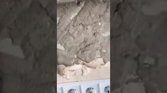 2 поликлинника г ульяновск директор вилков ремонт шиворот навыворот смотреть онлайн