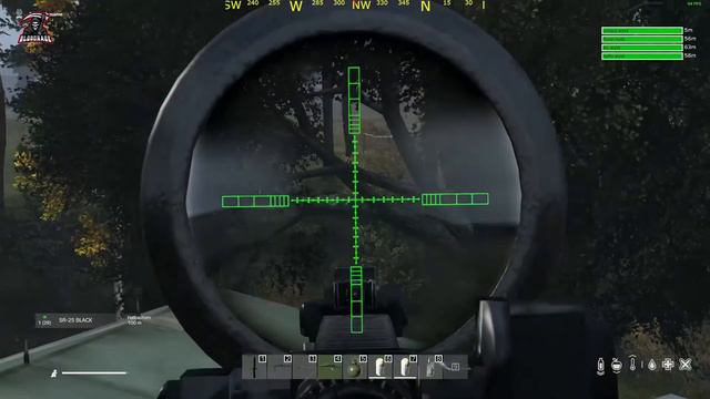 Simply.wyld Bloodrage Montage