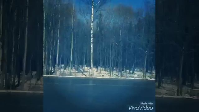 Еду в радон смотреть онлайн