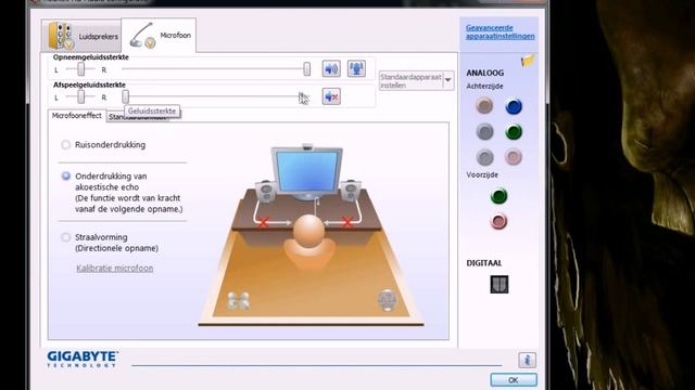 Realtek HD Manager Configuration. *Echo Problem*