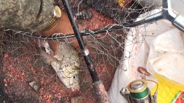 Рыбалка на "косачёвской" протоке,кипринские луга..... смотреть онлайн