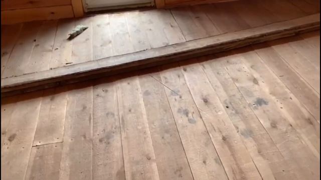 ВЫПОЛНИЛИ УТЕПЛЕНИЕ ПОЛОВ, КРЫШИ И ПЕРЕКРЫТИЯ В ДЕРЕВЯННОМ ДОМЕ смотреть онлайн