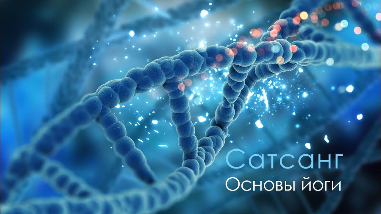 Сатсанг 14.01.2024 - "Основы Йоги" смотреть онлайн