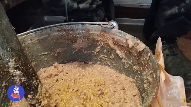 ЧЕМ И КАК КОРМИТЬ КУР ДЛЯ ПОВЫШЕНИЯ ЯЙЦЕНОСКОСТИ //ГОТОВИМ ИНКУБАЦИОННОЕ ЯЙЦО смотреть онлайн