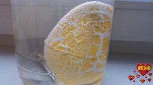 Выращиваем динозавра из яйца