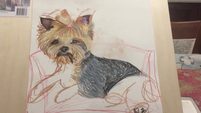 2 часть йоркширский терьер смотреть онлайн