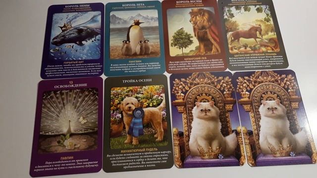 ЕСТЬ ЛИ БУДУЩЕЕ С ЗАГАДАННЫМ МУЖЧИНОЙ?Гадание Онлайн от Ксении Матташ смотреть онлайн