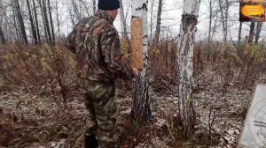 Проверка боя резкости ружья по доске с ружья МР155. Резкость ружья МР155. Кикс Смок. Kicks Smoke.