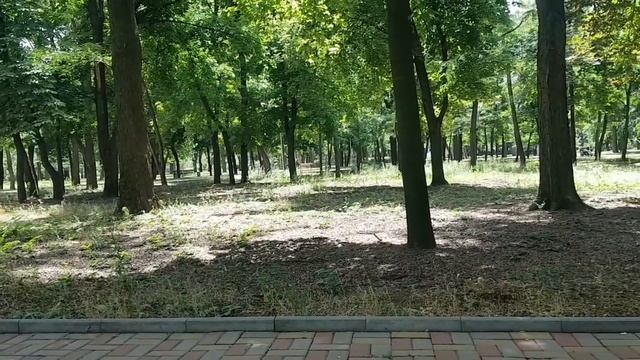 ОТДЫХАЮ В ПАРКЕ. ПРОГУЛЯЛСЯ ПО ГОРОДУ. ТЕЛЕФОН ПРОСЛУШИВАЮТ смотреть онлайн
