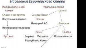 Население и хозяйственное освоение Европейского севера (9 класс география). Учитель: А. Ю. Трифуз