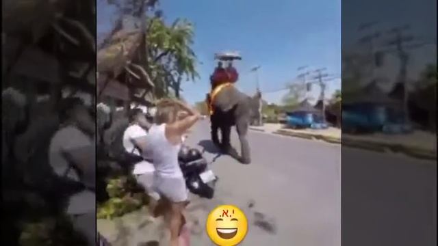 Удар слона хвостом смотреть онлайн