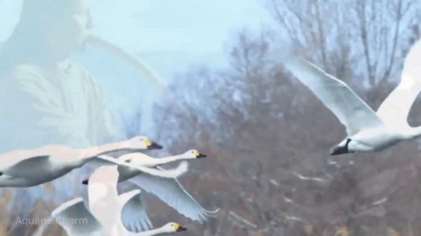 Simon and Garfunkel - El Condor Pasa (перевод субтитры)