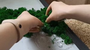 Картина из мха. Эко картина своими руками. Мастер класс фито панно