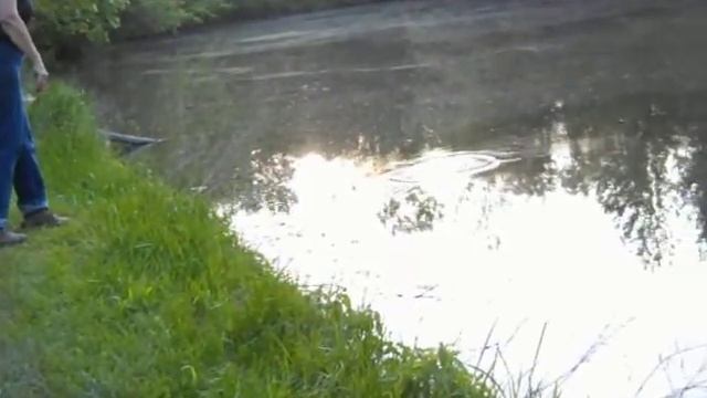 Redneck Fishing with Weed Eater Line 1 смотреть онлайн