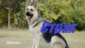 Страх.. (рассказ)