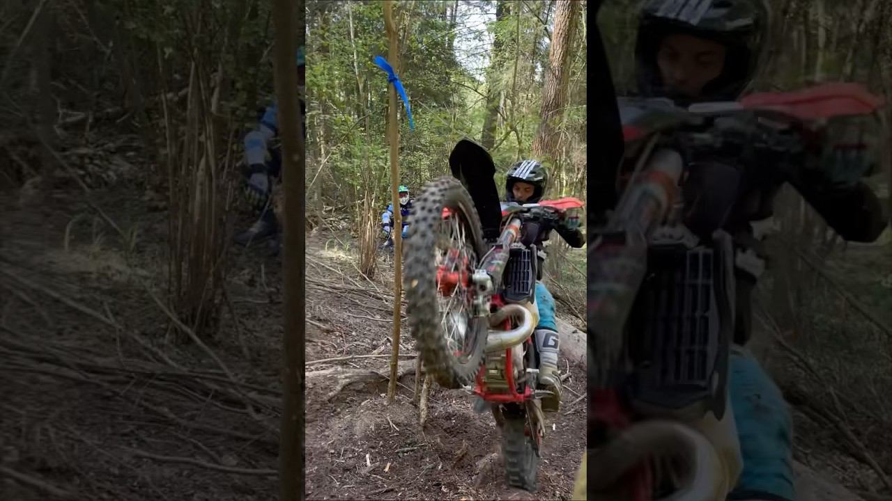 23 мая 2023 г. смотреть онлайн