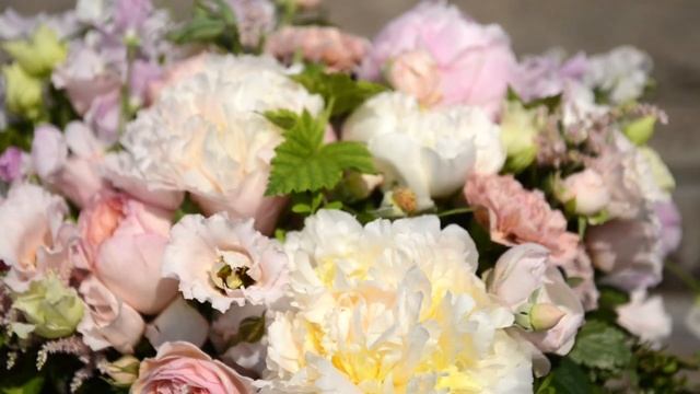 Montage Bouquet de pivoines roses, Comtesse du Barry смотреть онлайн