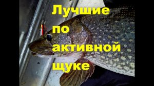 Мой топ воблеров по активной щуке. Часть 2.