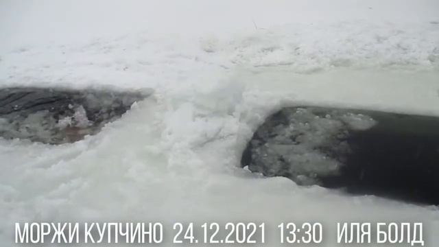 24 декабря 2021 Прыжок в прорубь с тумбы, проплыв подо льдом. Купчино моржи. Сочельник. Никонов ден смотреть онлайн
