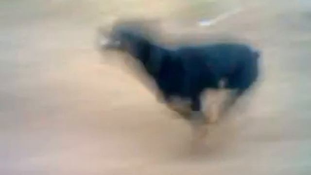 Рой скорость 55км/ч смотреть онлайн