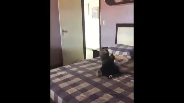 +100500 - Ивановские Ассенизаторы смотреть онлайн