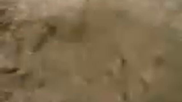 Зарубежный прикол смотреть онлайн