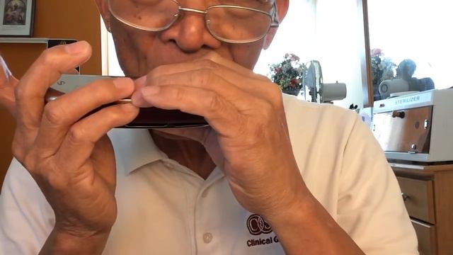 "Sarumbanggi" in Chrometta 12 C Harmonica смотреть онлайн