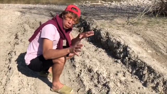 Frank Grills e i Ragni cammello смотреть онлайн