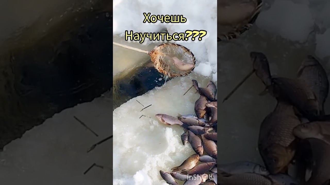 зимняя рыбалка на тягу смотреть онлайн