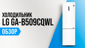 Обзор LG GA-B509CQWL: двухкамерный холодильник с No Frost ? Мнение специалистов