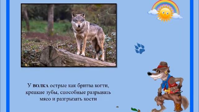 Про волка смотреть онлайн