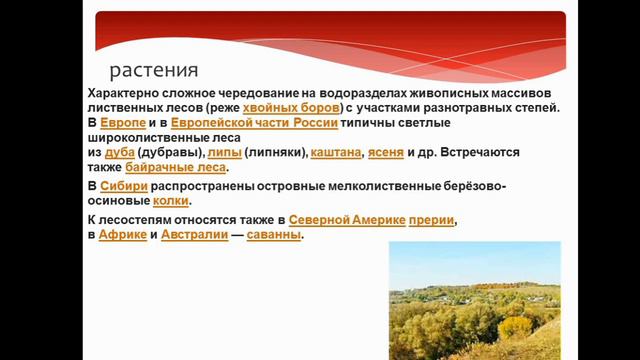 лисостеп смотреть онлайн