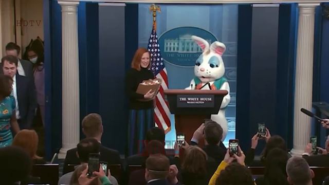 Белый кролик поселился в Белом Доме. смотреть онлайн