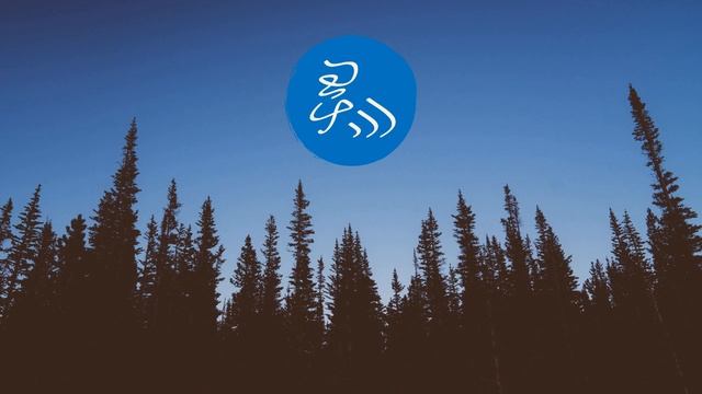 Цигун, дао инь, Чжуан-цзы и дзен смотреть онлайн