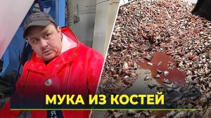 Как делают костную муку из рыбных отходов в Салехарде
