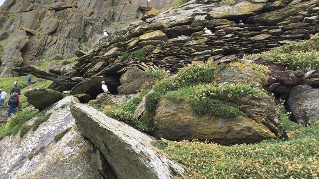 Skellig Michael island (Star Wars location & UNESCO world heritage site) [1] смотреть онлайн