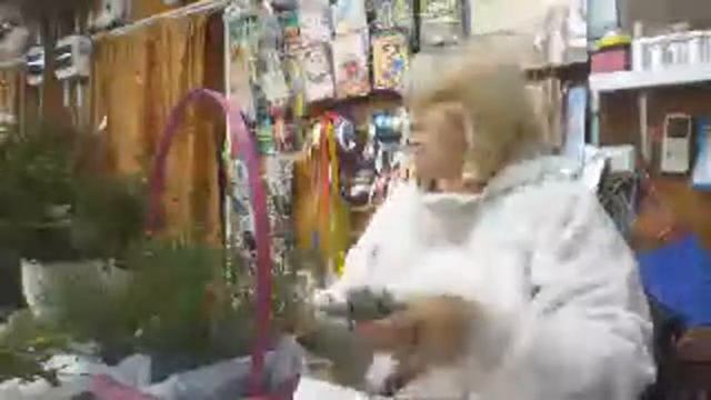 Композиции из моего огорода людям на радость смотреть онлайн