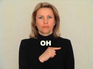 ЖЕСТОВЫЙ ЯЗЫК. СЛОВАРЬ. Он