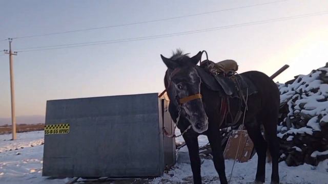 Старый новый год☃️/Отмечаем в деревне/Зима 2024..../13.01.2024✨🌲/ смотреть онлайн