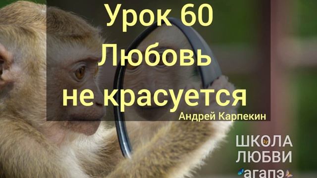 60. Любовь не красуется. Школа Любви Агапэ. смотреть онлайн