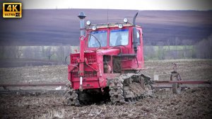 Гусеничный трактор Т-4А Алтай и тракторист, работающий на нем с 1981 года - закрытие влаги 2020