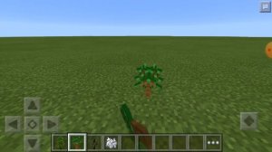 Как вырастить большие деревья в minecraft
