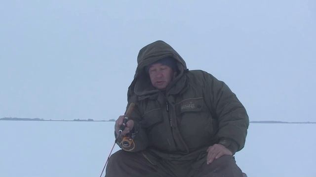 СУДАК и БЕРШ на РАТТЛИНЫ и ТЮЛЬКУ. (Кама. Красный Бор. 31.01.2022г) Моя рыбалка в Глухозимье. смотреть онлайн