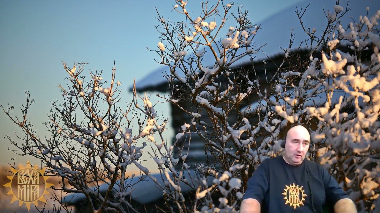 «Память и осознание». смотреть онлайн