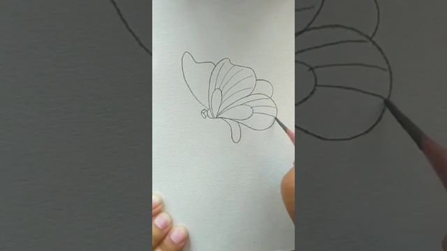 learning to draw | flowers | butterflies | учимся рисовать бабочек и цветы. смотреть онлайн