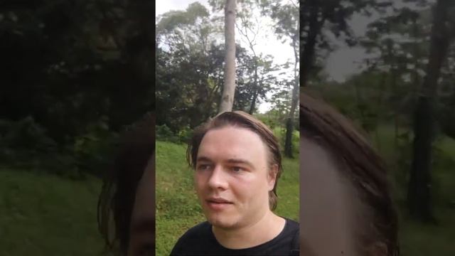 Ла Вента и Вильяэрмоса | Роскошь и беднота среди древних руин | #12 смотреть онлайн